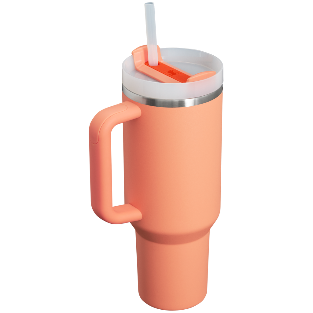 Splash-Resistant FlowState The Quencher H2.0 Flowstate Tumbler D050X - Premium Stainless Steel Straw Cup for All-Day Hydration Detail