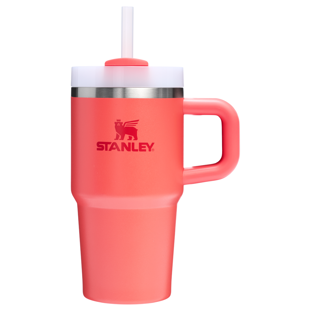 Car-Cup Friendly The Quencher H2.O Flowstate Tumbler | Stanley Create D274S - Double-Wall Vacuum Insulated Travel Tumbler with Straw Detail