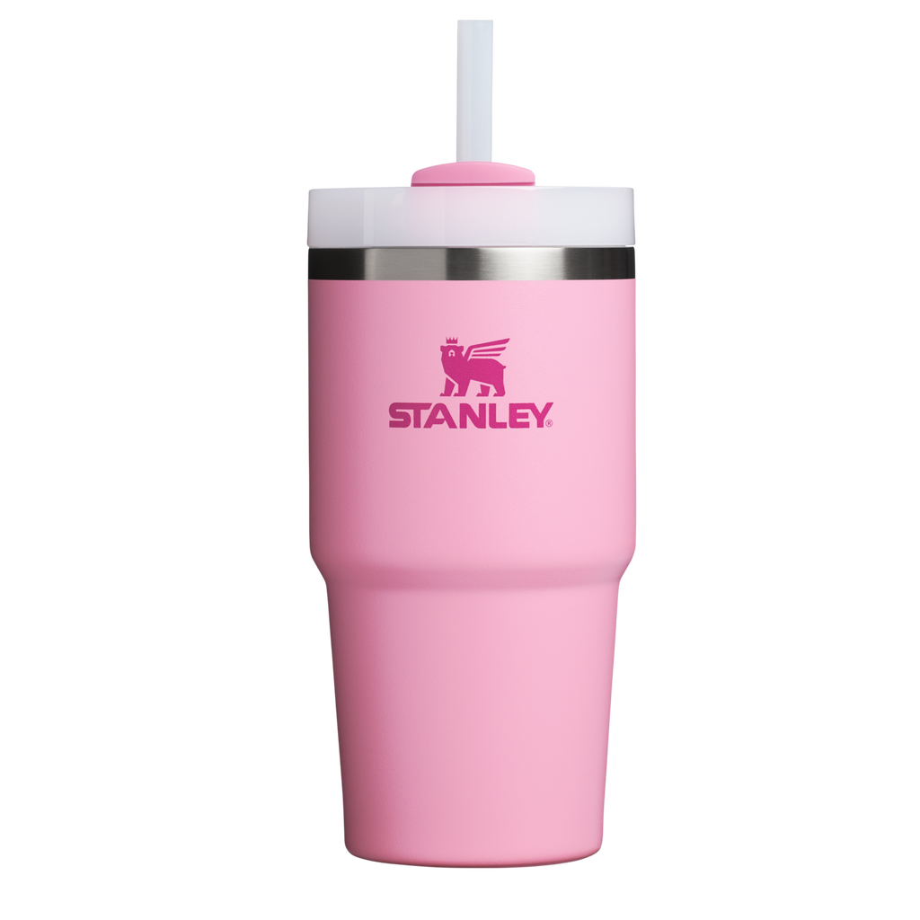 Insulated Travel The Quencher H2.0 Flowstate Tumbler D030T - FlowState 3-Position Lid Insulated Travel Mug - Ash